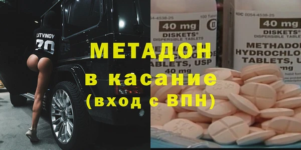 крисы Корсаков