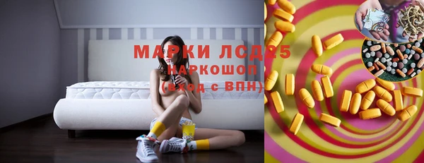 гашик Краснослободск