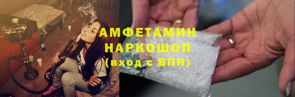 гашик Краснослободск
