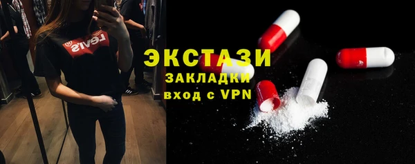 гашик Краснослободск