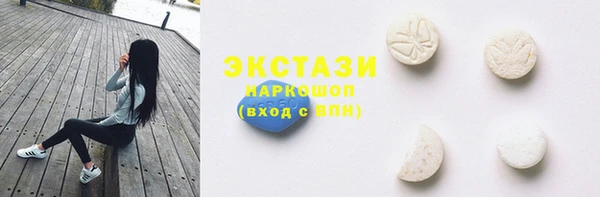 гашик Краснослободск