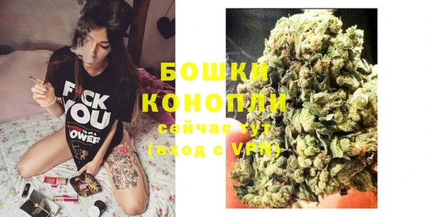гашик Краснослободск