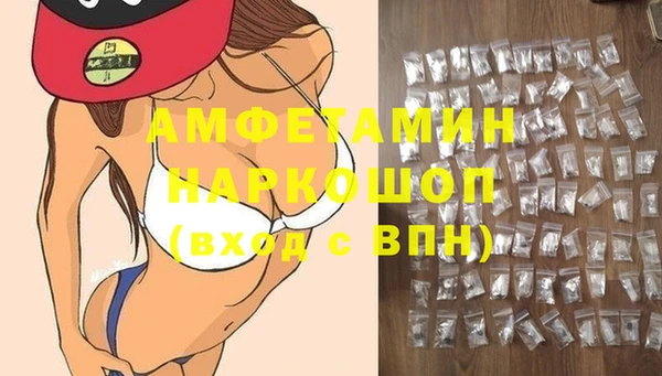 гашик Краснослободск