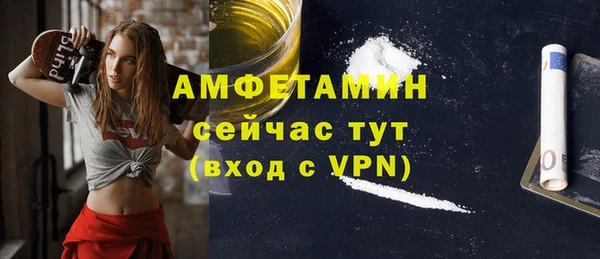 гашик Краснослободск