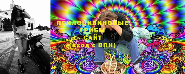 гашик Краснослободск