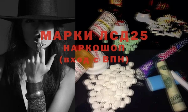 гашик Краснослободск