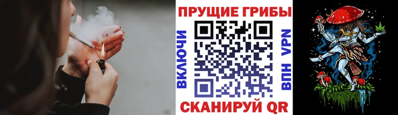 Псилоцибиновые грибы Magic Shrooms  где найти   Туран 