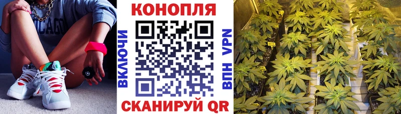 Шишки марихуана индика  где купить наркоту  Туран 